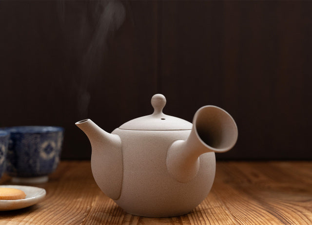 Tokoname-yaki teapot | IROIRO 01 - JINSUI -