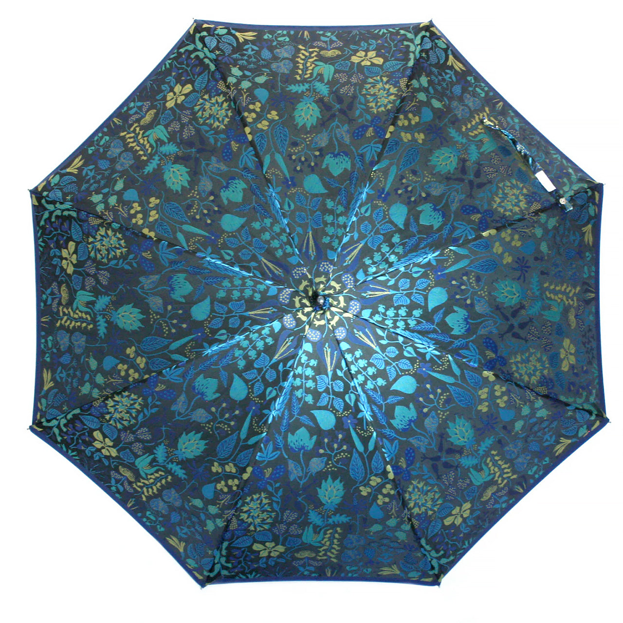 登山扣鑰匙圈 | 抓握 - clife -