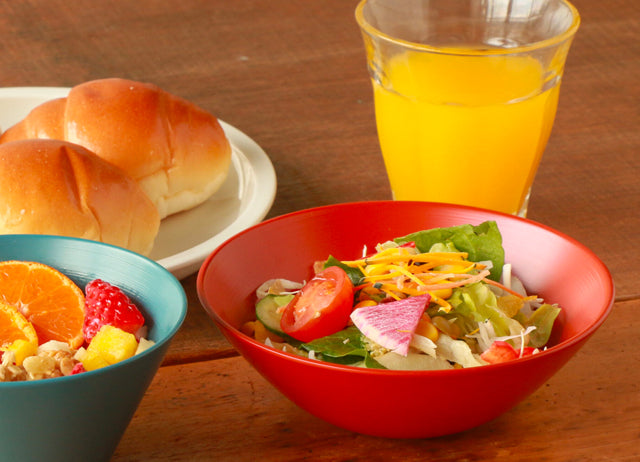 Urushi flat bowl Echizen Koushitsu - RIN&CO. -