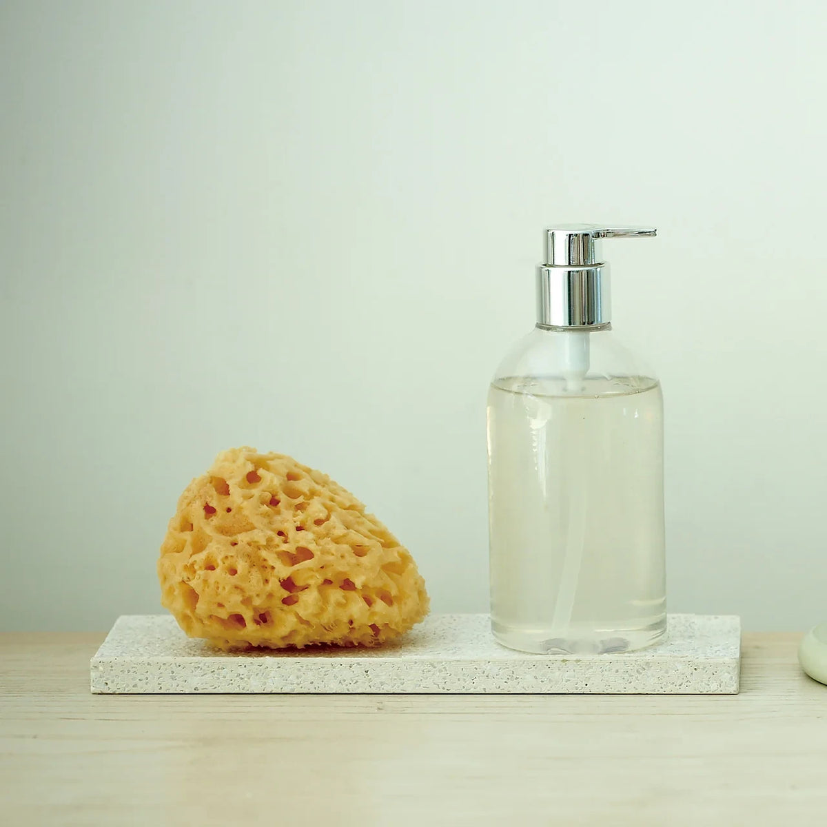 soil dispenser tray with a soap dispenser